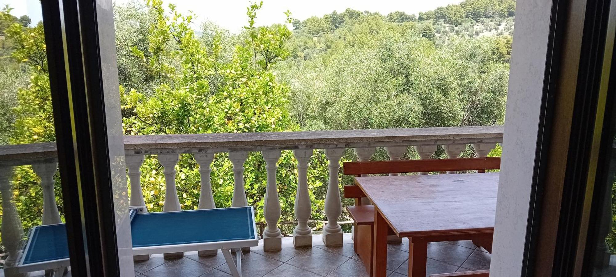 Agriturismo Valle Dei Gelsi Peschici Rum bild